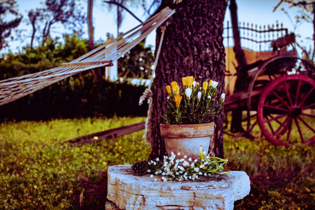 Antica Casina B&B Di Charme Pulsano Exteriér fotografie