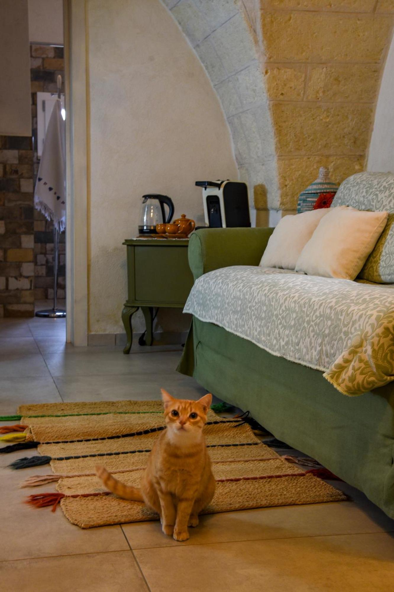 Antica Casina B&B Di Charme Pulsano Exteriér fotografie